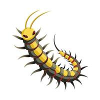 Graphic of a Colorful Centipede vector