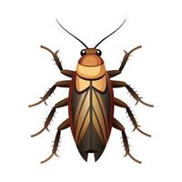 Colorful Cockroach on White Background vector