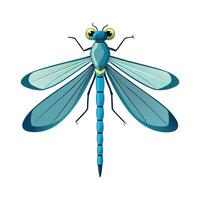 Charming Damselfly on a Flower vector