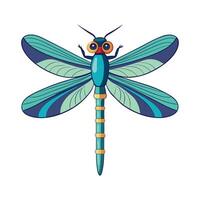 Illustration of a Dragonfly on White vector