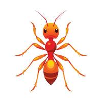 Charming Fire Ants on White Background vector