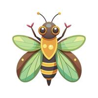 Stylized Firefly for Educational Use vector