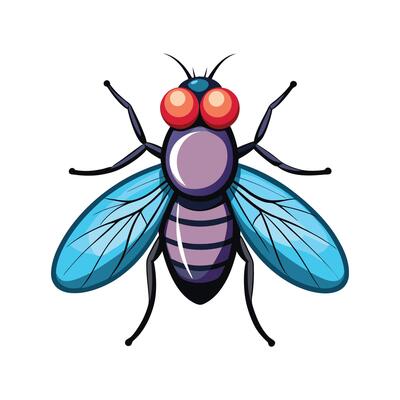 Realistic Flies on a White Background
