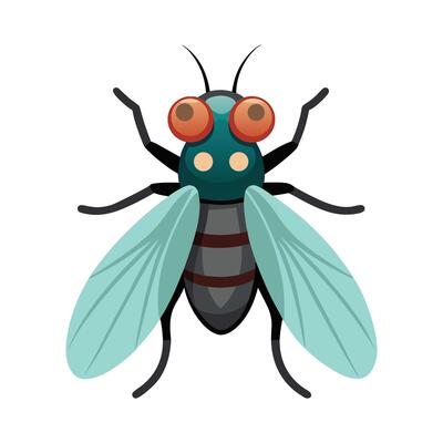 Colorful Fly Character