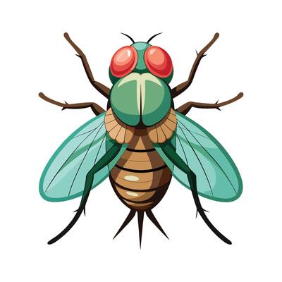 Charming Fly on a Flower Illustration