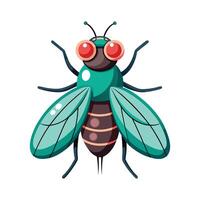 Charming Fly on a White Background vector