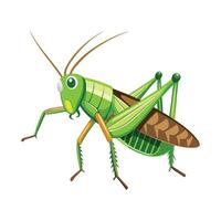 Charming Grasshopper Character on a Leaf vector