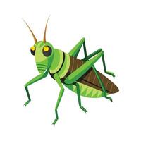 Colorful Grasshopper on a Leaf vector
