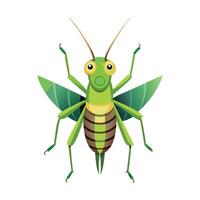 Stylized Grasshopper for Creative Learning vector