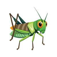 Detailed Grasshopper Character Digital Art vector