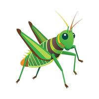 Stylized Grasshopper Character vector