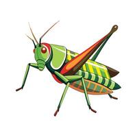 Whimsical Grasshopper Character for Kids vector