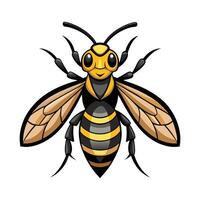 Stylized Hornet for Creative Learning vector