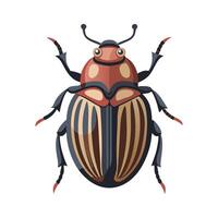 Charming June Beetle on Flower vector