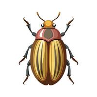 Stylized June Beetle for Educational Use vector