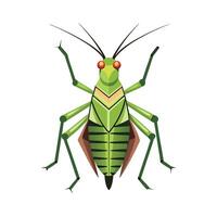 Cute Katydid Character for Kids vector