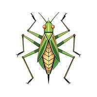 Charming Katydid Character Digital Art vector