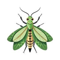 Cute Lacewing on a White Background vector