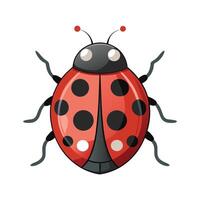 Realistic Ladybug on a Flower vector