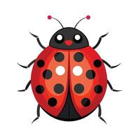 Charming Ladybug on a White Background vector