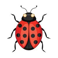 Stylized Ladybug for Creative Learning vector