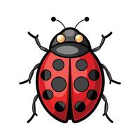 Stylized Ladybug for Educational Use vector
