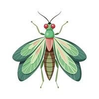 Stylized Lacewings for Educational Use vector