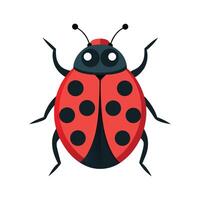 Cute Ladybug Character Digital Art vector