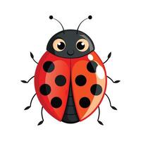 Charming Ladybug on Green Background vector