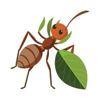 Realistic Leafcutter Ant on a Leaf vector