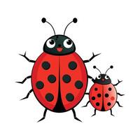 Stylized Ladybugs on a White Background vector