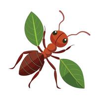 Cute Leafcutter Ant for Educational Use vector
