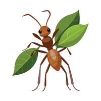 Stylized Leafcutter Ant Character vector