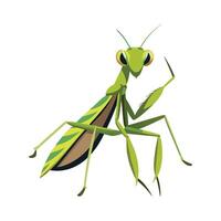 Charming Mantis on a Flower vector