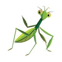 Stylized Mantis for Educational Use vector