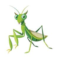 Realistic Mantis on a Leaf vector