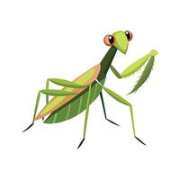 Charming Mantis Character Digital Art vector