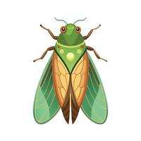 Realistic Leafhopper on Green Background vector