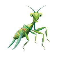 Stylized Mantis Character for Educational Use vector