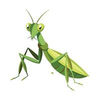 Illustration of Mantis in Nature vector