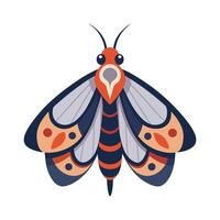 Realistic Moth on a Leaf vector