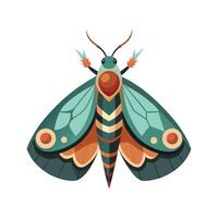 Stylized Moth for Educational Use vector
