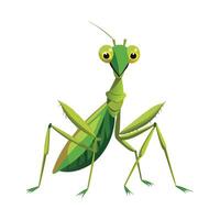 Charming Praying Mantis Character vector