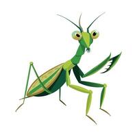 Cute Praying Mantis on a Leaf vector