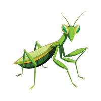Stylized Praying Mantis for Kids vector