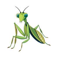 Charming Praying Mantis on a Flower vector
