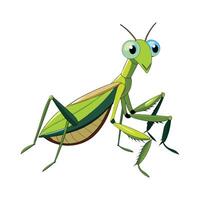 Stylized Praying Mantis for Educational Use vector