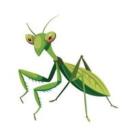 Charming Praying Mantis Character Digital Art vector