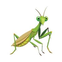 Stylized Praying Mantis Character Digital Art vector