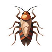 Stylized Roach for Educational Use vector